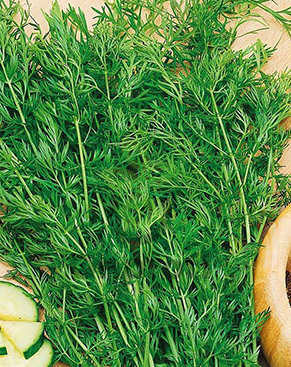 Тмин Овощной Душистый, 1гр (фасовка)