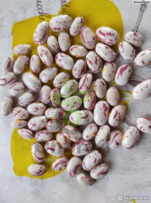 Фасоль овощная Фламинго, 10гр (фасовка)