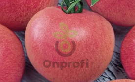 Томат Абрикосовый, 0,5гр (фасовка)