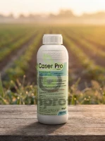 Фунгицид Казер Про (Caser Pro),
