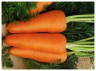 Морковь Шантанэ Роял (фракция 1,6-1,8мм),
