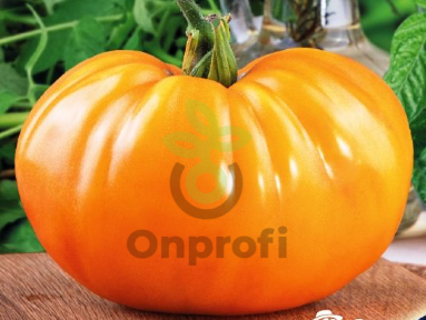 Томат Алтайский оранжевый, 0,5гр (фасовка)