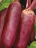 (м.ф.) Свекла Багряный цилиндр 3гр