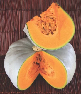 Тыква Нельсон F1,