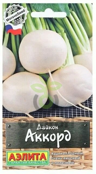 (м.ф.) Дайкон Аккорд, 1г Аэлита