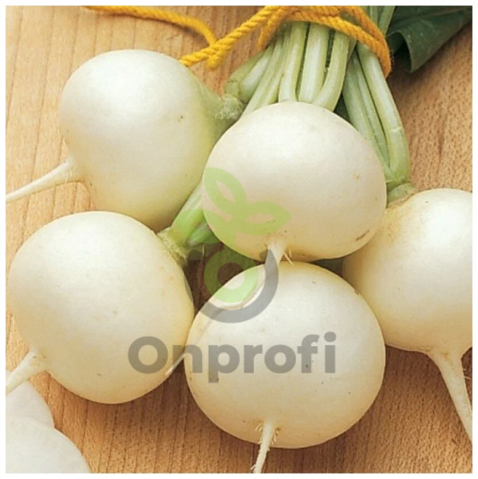 (м.ф.) Дайкон Аккорд, 1г Аэлита