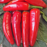 Перец Острый Красный Толстяк,