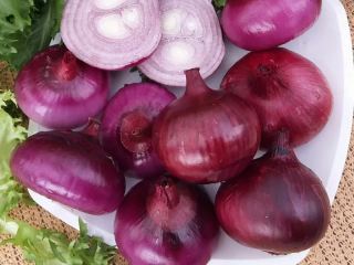 (м.ф.) Лук репчатый Даниловский 301 0,5г