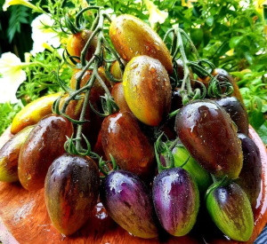 Томат Атомный виноград Брэда, 0,5гр (фасовка)