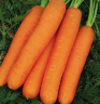 (м.ф.) Морковь Бейби 2гр