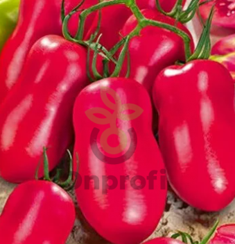 Томат Банан розовый, 0,5гр (фасовка)