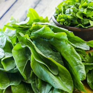 Щавель Крупнолистный, 5гр (фасовка)