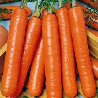 (м.ф.) Морковь Витаминная 6, 4гр