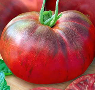 Томат Башкирский ранний, 0,5гр (фасовка)