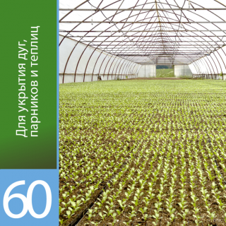 Агроволокно Агротекс Белый 60 (с повышенным УФ), (1,6м х 100м)