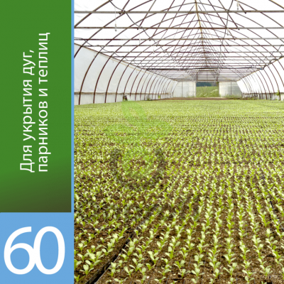 Агроволокно Агротекс Белый 60 (с повышенным УФ), (1,6м х 100м)