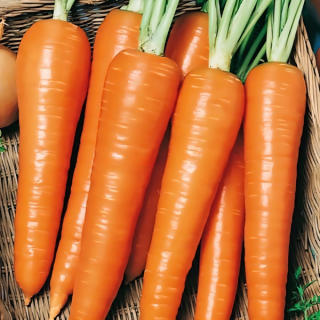 (м.ф.) Морковь Роте Ризен 4гр