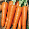 (м.ф.) Морковь Роте Ризен 4гр