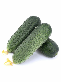 Огурец Спринтер F1,