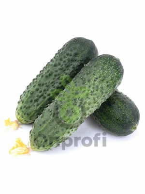 Огурец Спринтер F1,