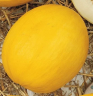 (м.ф) Дыня Золотистая, 1гр