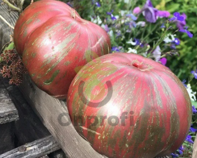 Томат Беркли тай дай пинк, 0,5гр (фасовка)