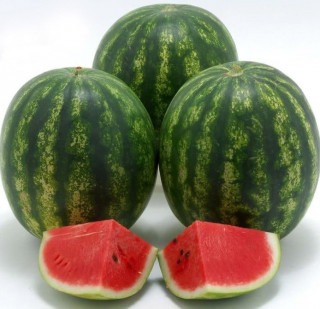 Арбуз Скиф F1,