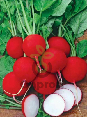 (м.ф.) Редис Рубин 3г