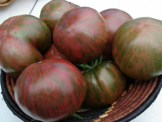 Томат Беркли тай дай хаат, 0,5гр (фасовка)