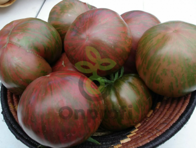 Томат Беркли тай дай хаат, 0,5гр (фасовка)