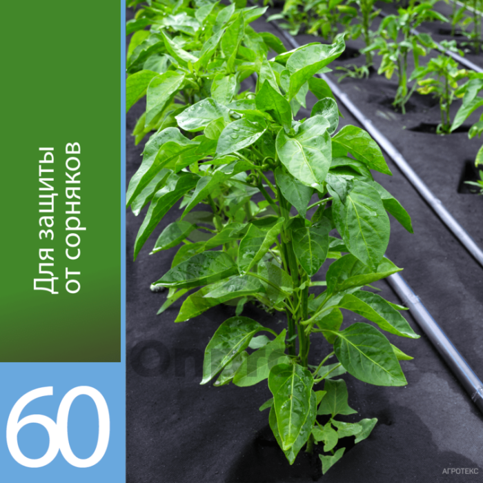 Агроволокно Агротекс Черный 60, (3,2м х 10м) фасовка