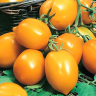 (м.ф.) Томат Непас 5 (Непасынкующийся Оранжевый с носиком) 0,1г Седек