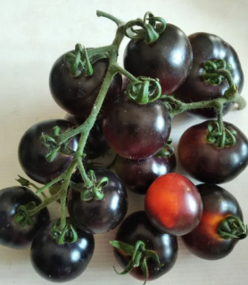 Томат Блю Питтс, 0,5гр (фасовка)