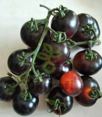 Томат Блю Питтс, 0,5гр (фасовка)