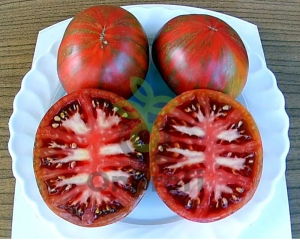 Томат Черная королева, 0,5гр (фасовка)