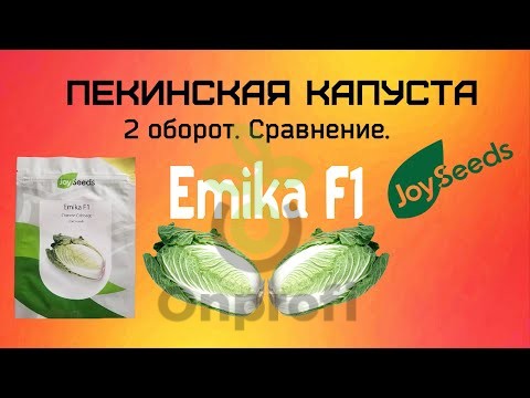 Капуста пекинская Эмика F1,