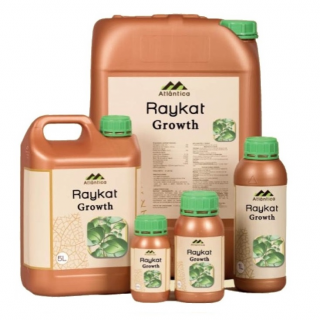 Стимулятор Райкат Развитие,