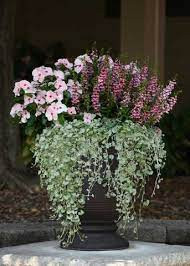 (п.ф.) Ангелония Серенита Микс, 100 драже (№6-456)