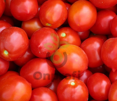 Томат Роксет,