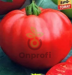 Томат Большой пир, 0,5гр (фасовка)