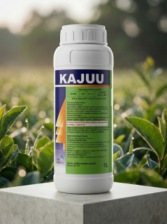 Фунгицид Кажу (Kajuu) (аналог Коллис), 1 л