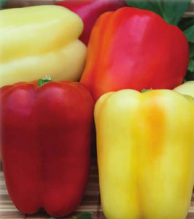 Перец Соломон Агро, 10гр