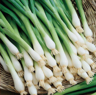 Лук Кайгаро,