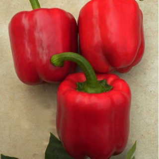 Перец Валентина F1,