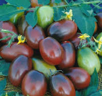 Томат Черный Мавр, 0,5гр (фасовка)