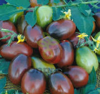 Томат Черный Мавр, 0,5гр (фасовка)