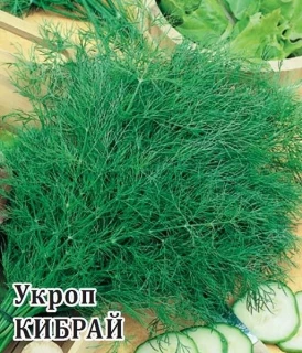 Укроп Кибрай, 0,5 кг