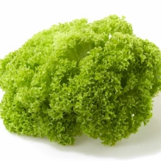 (м.ф) Салат Лолло Бионда, 1гр