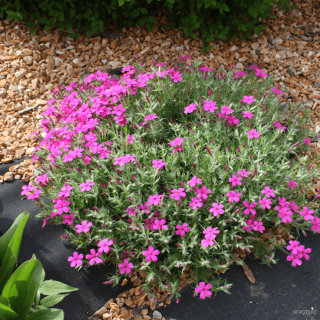 Гео Агротекс 90, (0,8м х 12м) упаковка