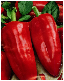 Перец Виктория,